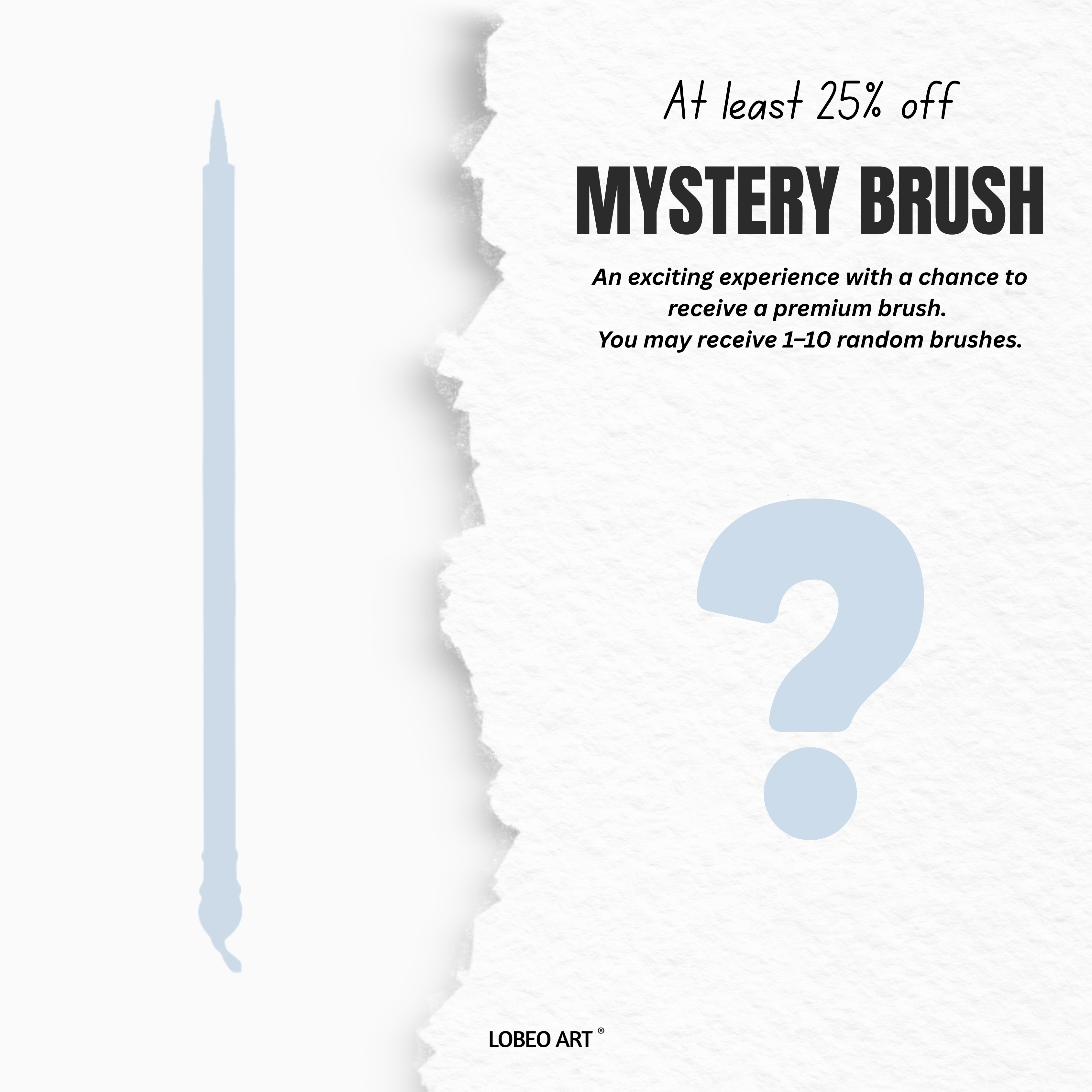 Lobeo Art Brush Mystery Box