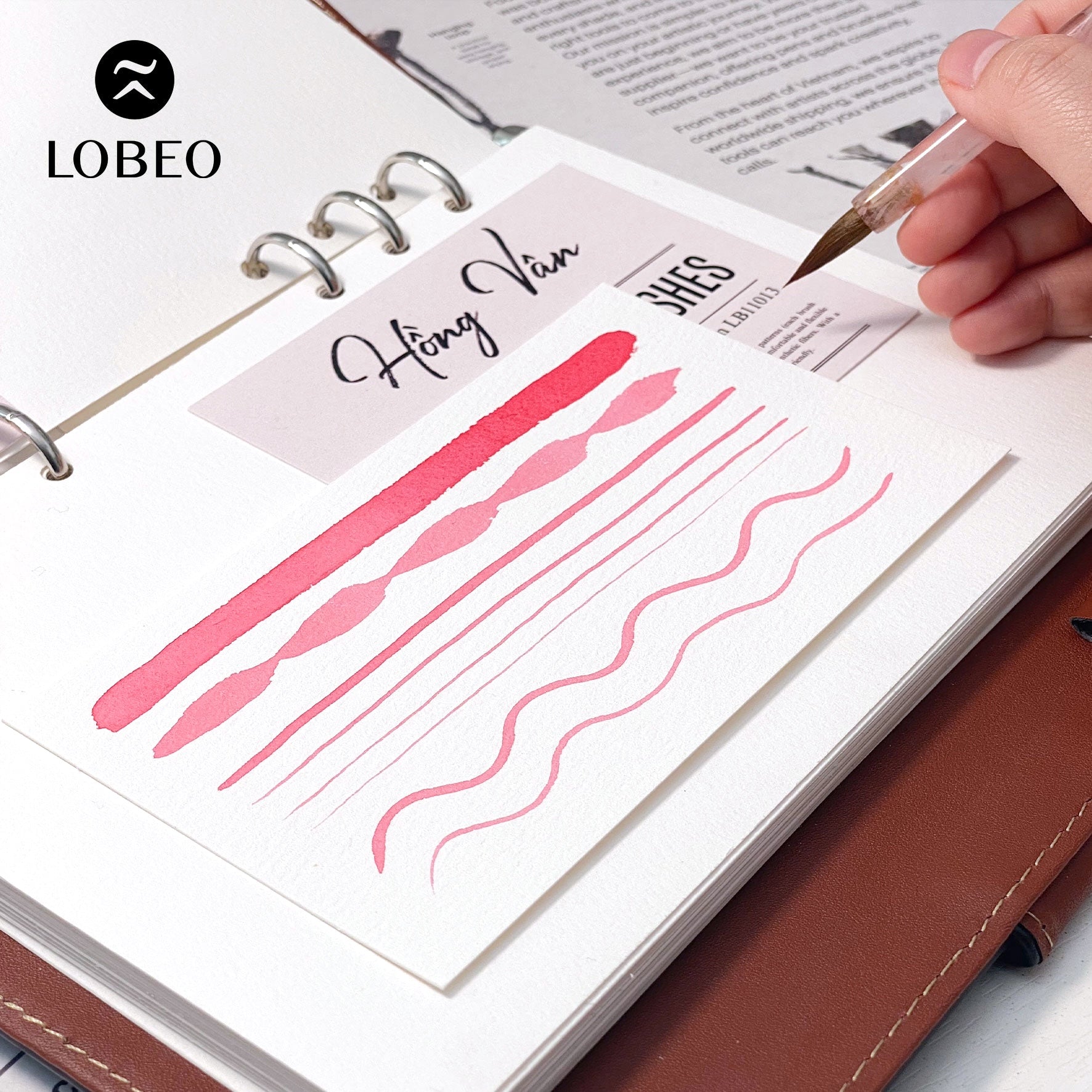 Lobeo Calligraphy Brush – Hong Van LB11013