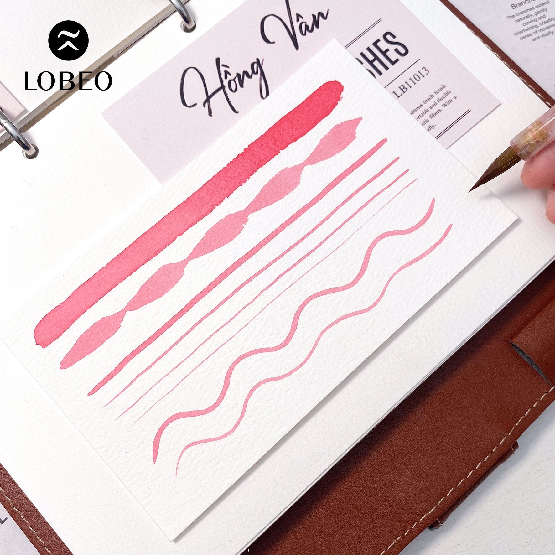 Lobeo Calligraphy Brush – Hong Van LB11013