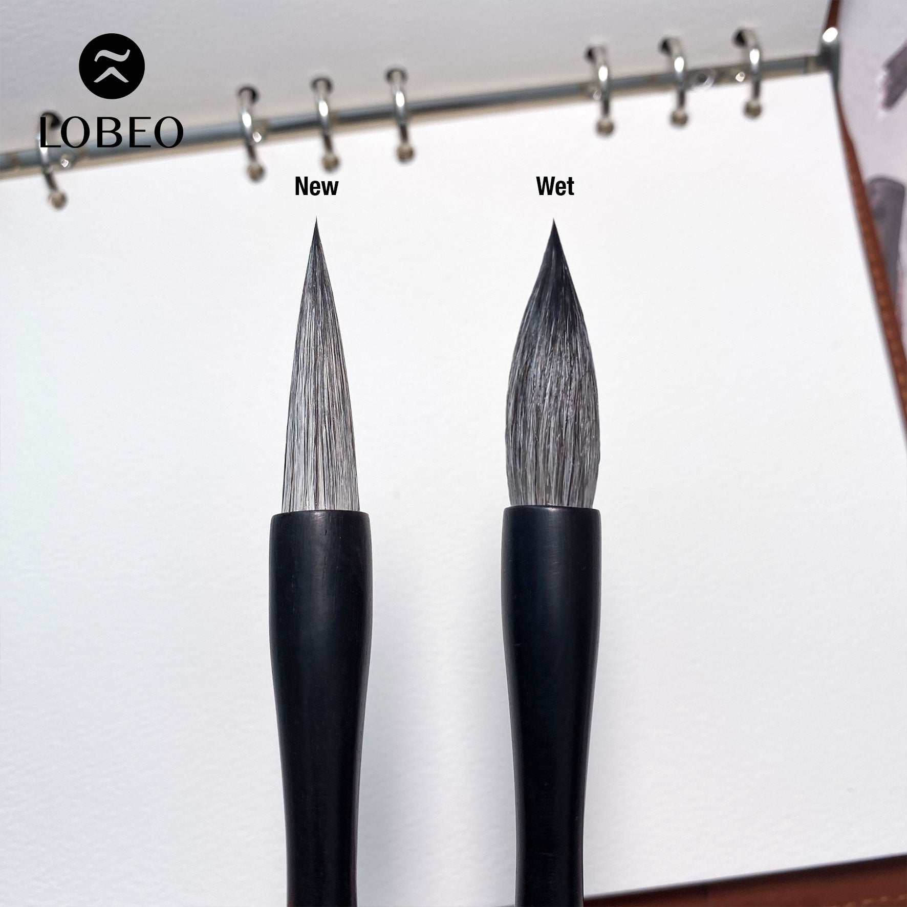 Lobeo Brush – Mun Big Size (Size 3) LB11009-3