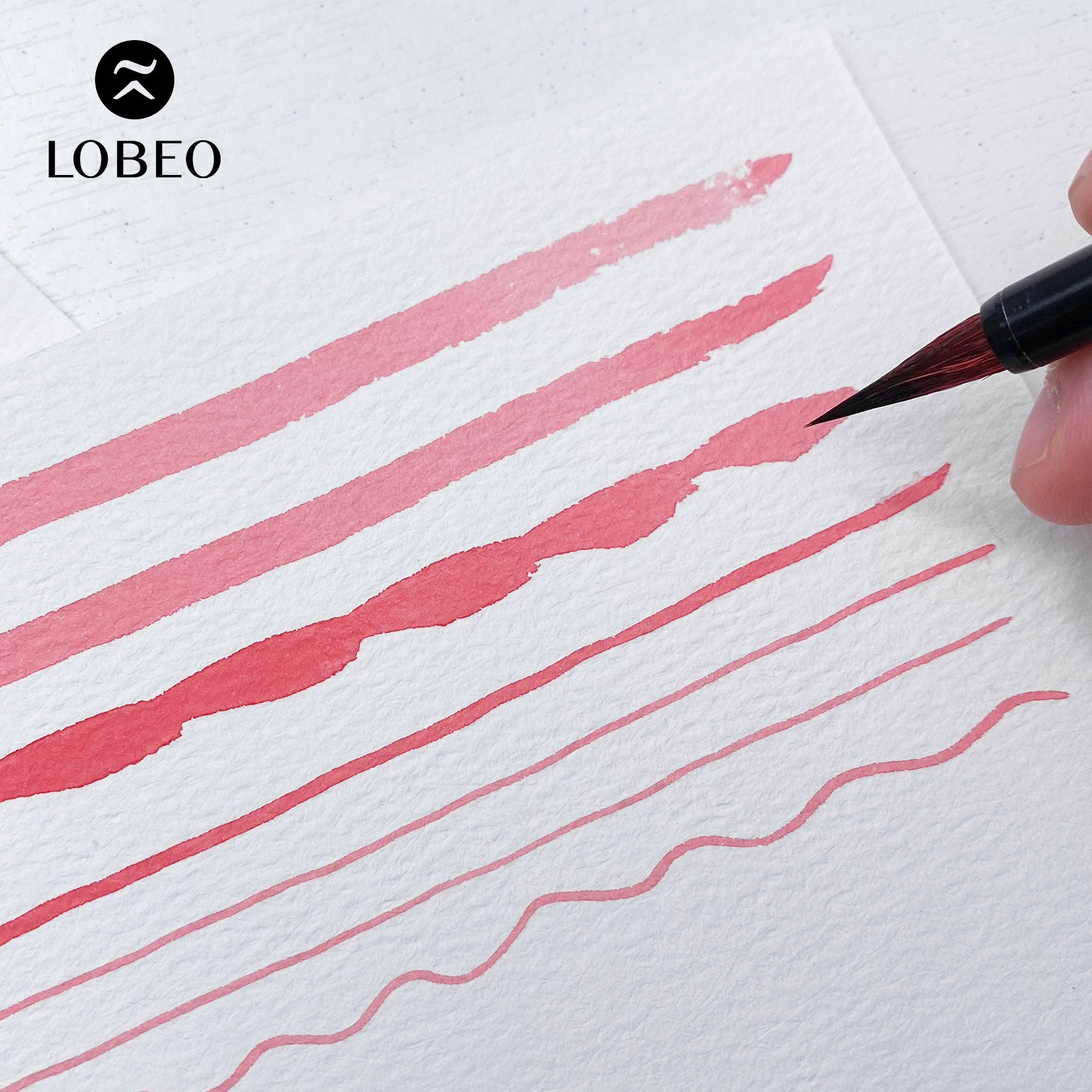 Lobeo Calligraphy Brush – Thỏ (Combo 2 brushes)