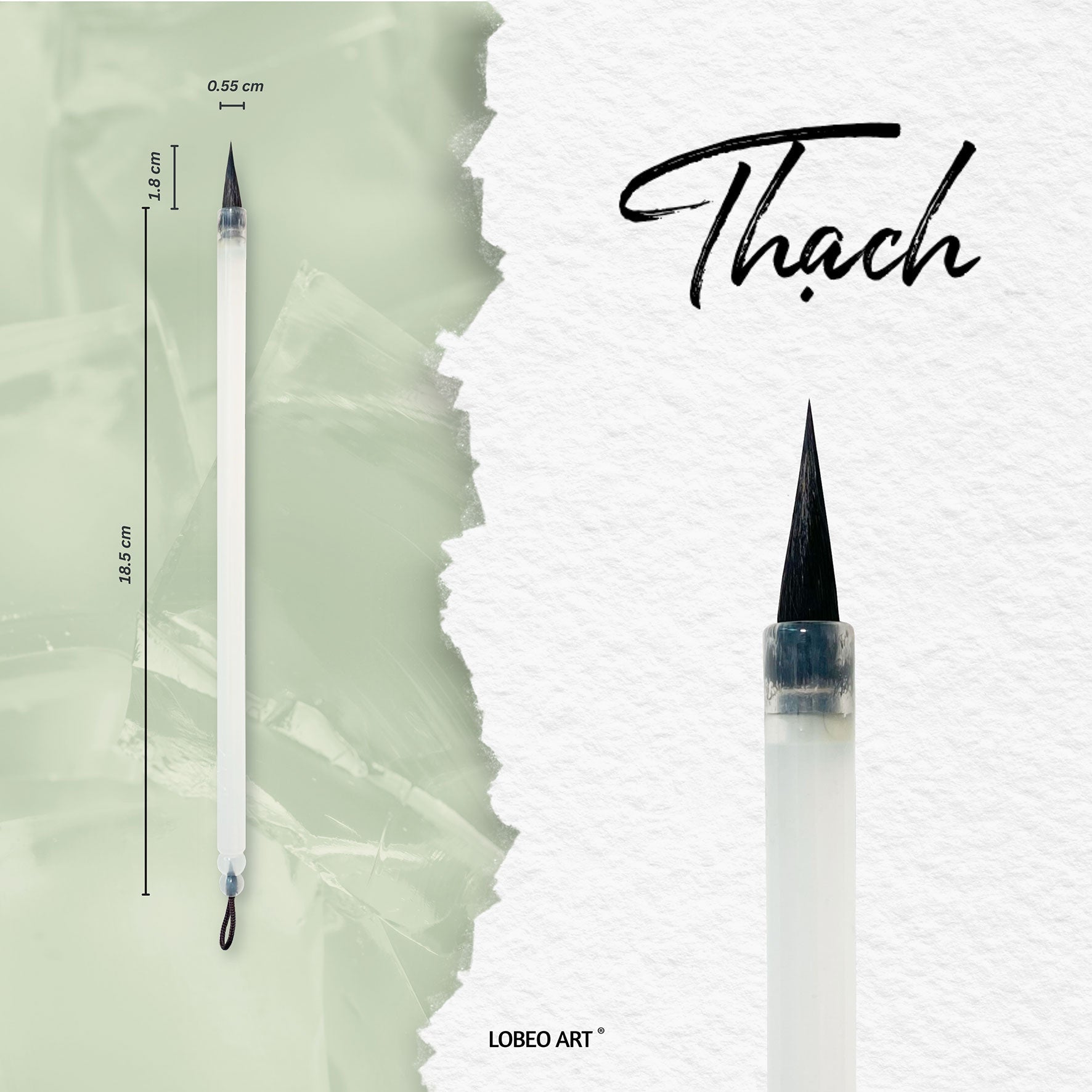 🎁 Lobeo Calligraphy Brush – Thach LB2007 (100% off)