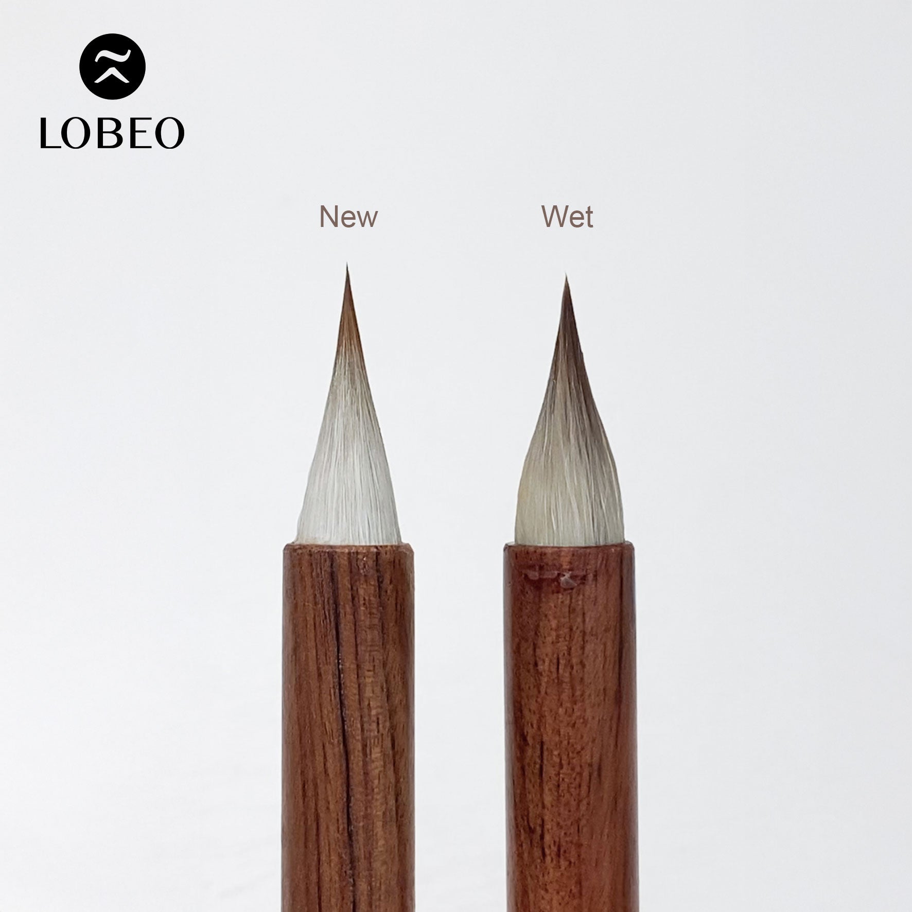 Lobeo Calligraphy Brush – Tung