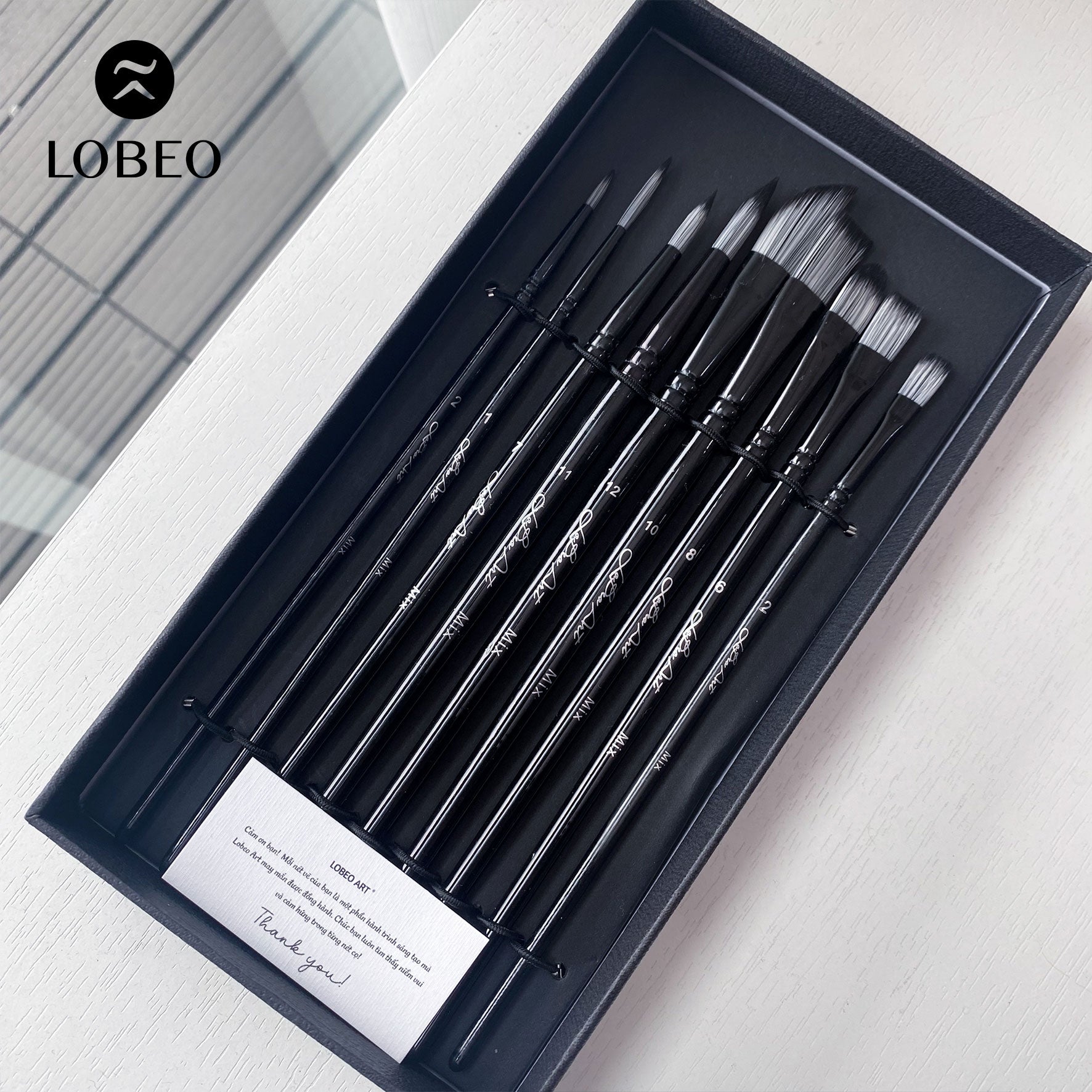 Combo 9pcs Moon Brush LB02
