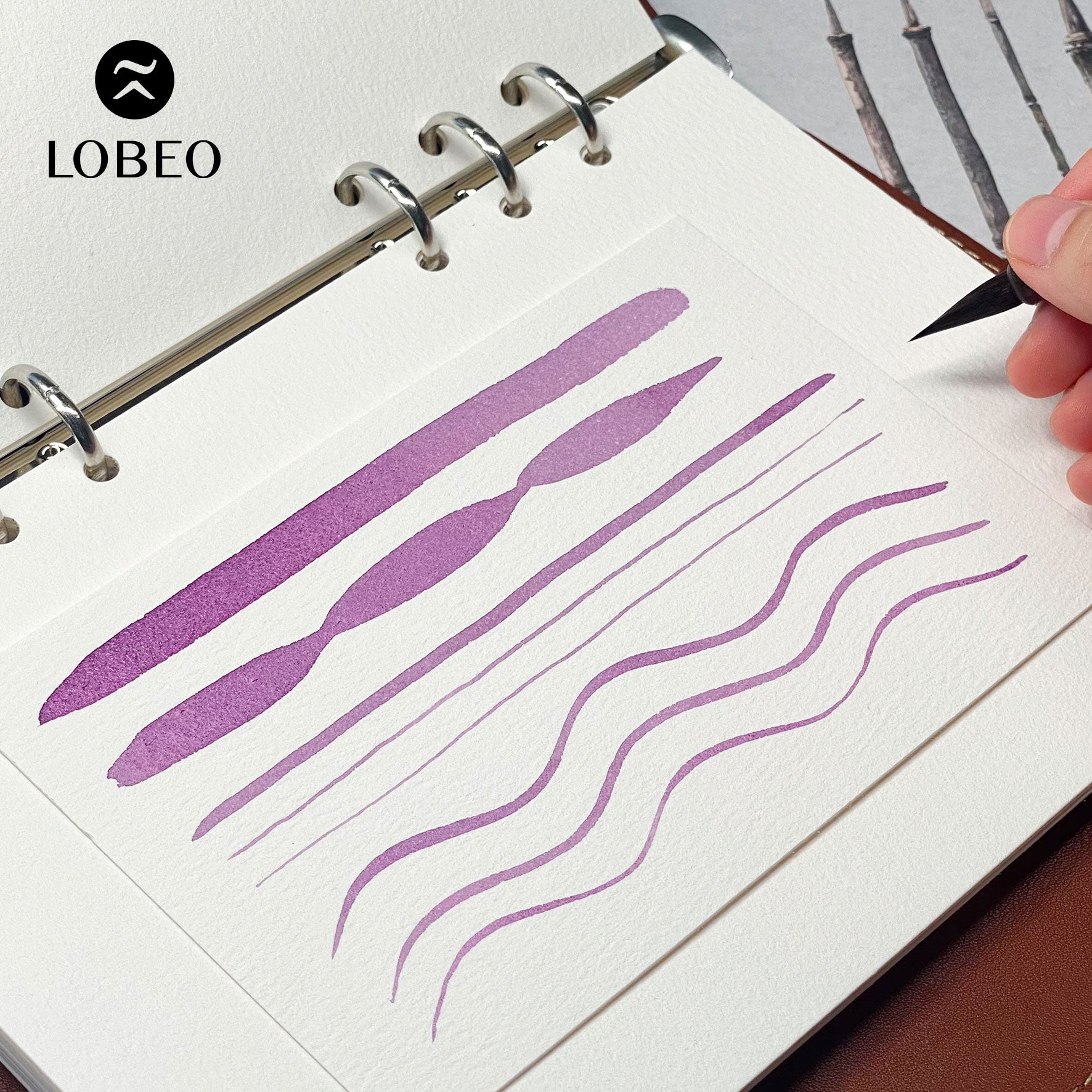 Lobeo Brush – Tieu Ngan Ha LB3002