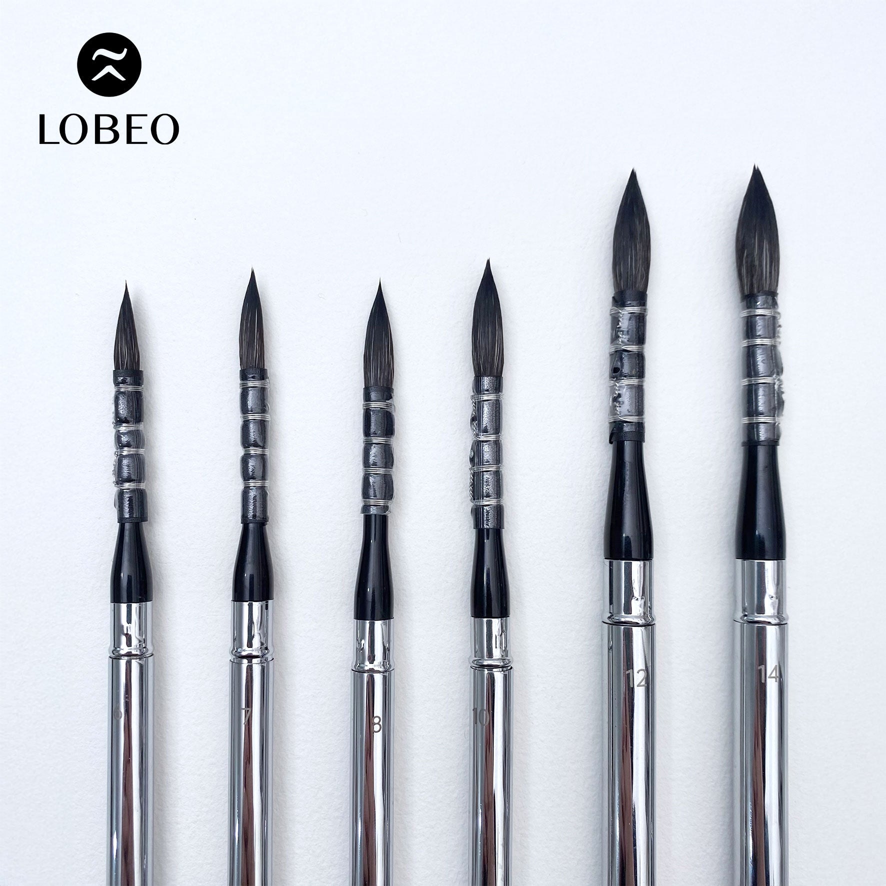 Cọ Du Lịch Cao Cấp Lobeo SR22 - Combo 6 Cây