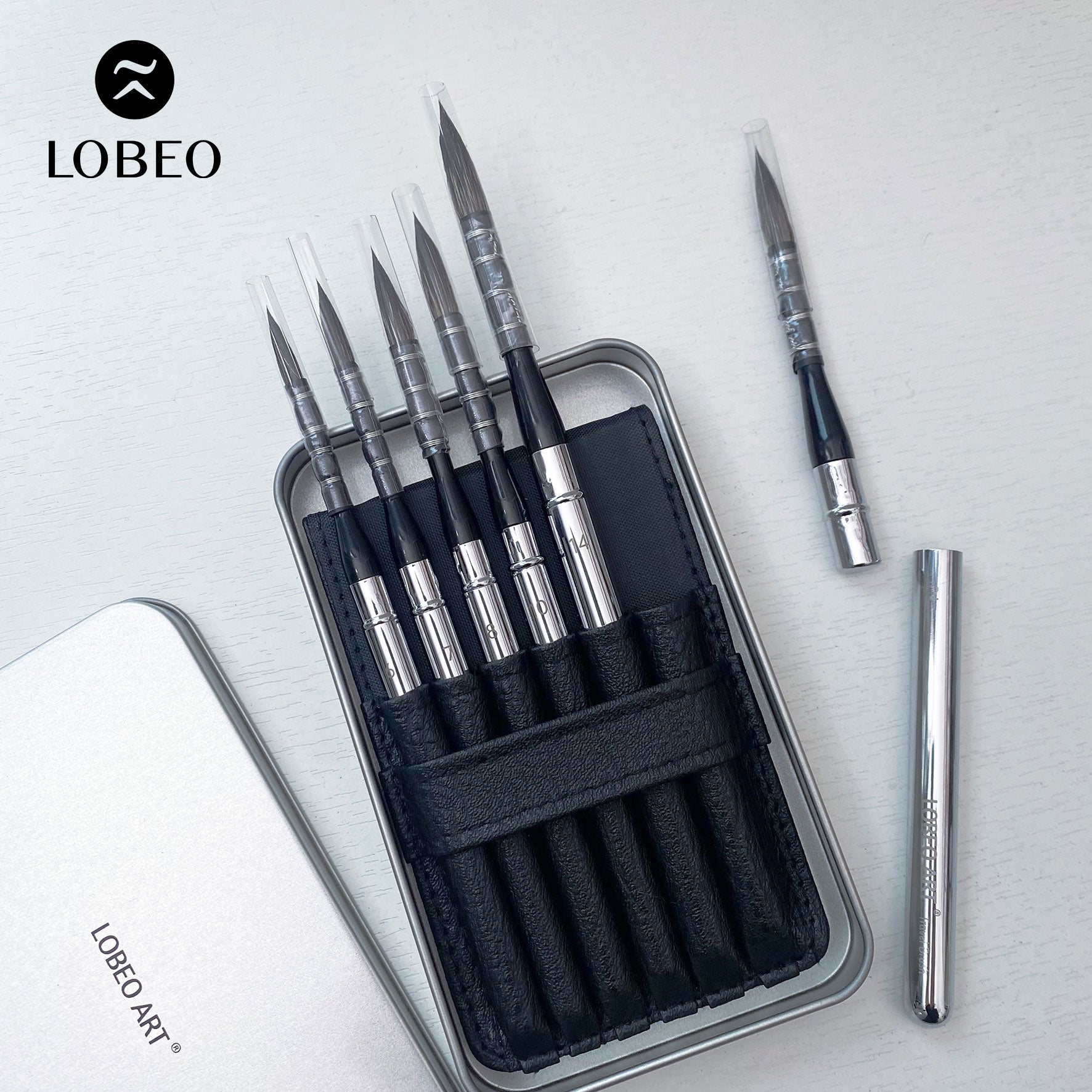 Premium Travel Brushes SR22 - Combo 6pcs