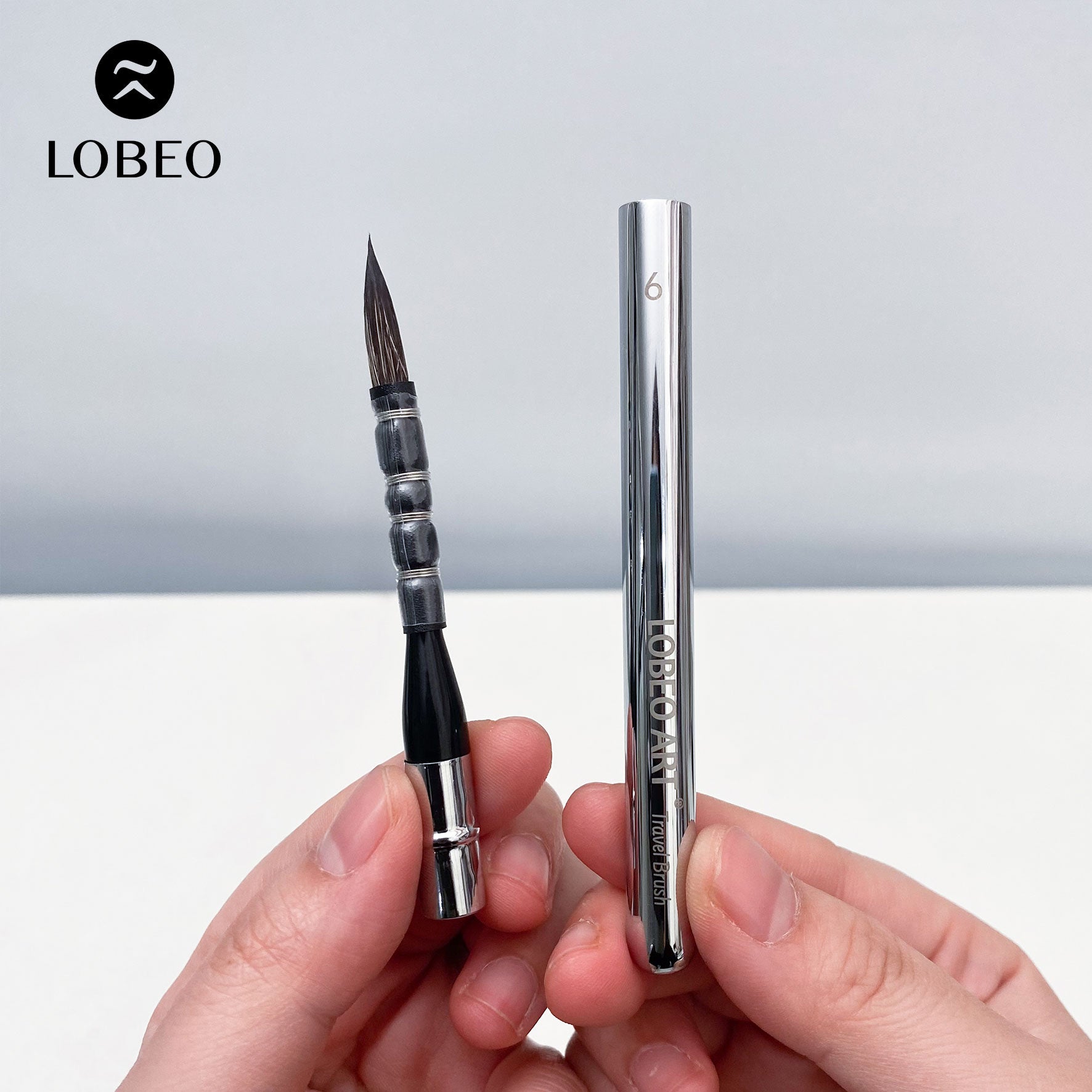 Cọ Du Lịch Cao Cấp Lobeo SR22 - Combo 6 Cây