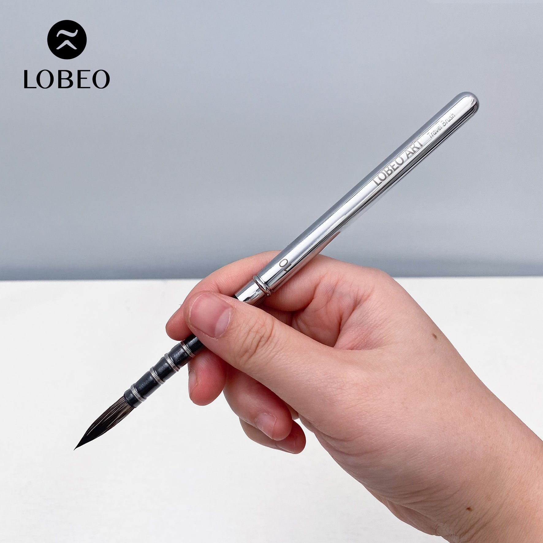 Cọ Du Lịch Cao Cấp Lobeo SR22 - Combo 6 Cây