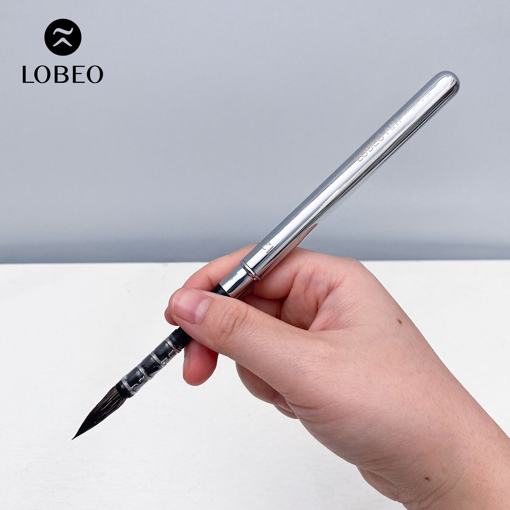 Cọ Du Lịch Cao Cấp Lobeo SR22 - Combo 6 Cây