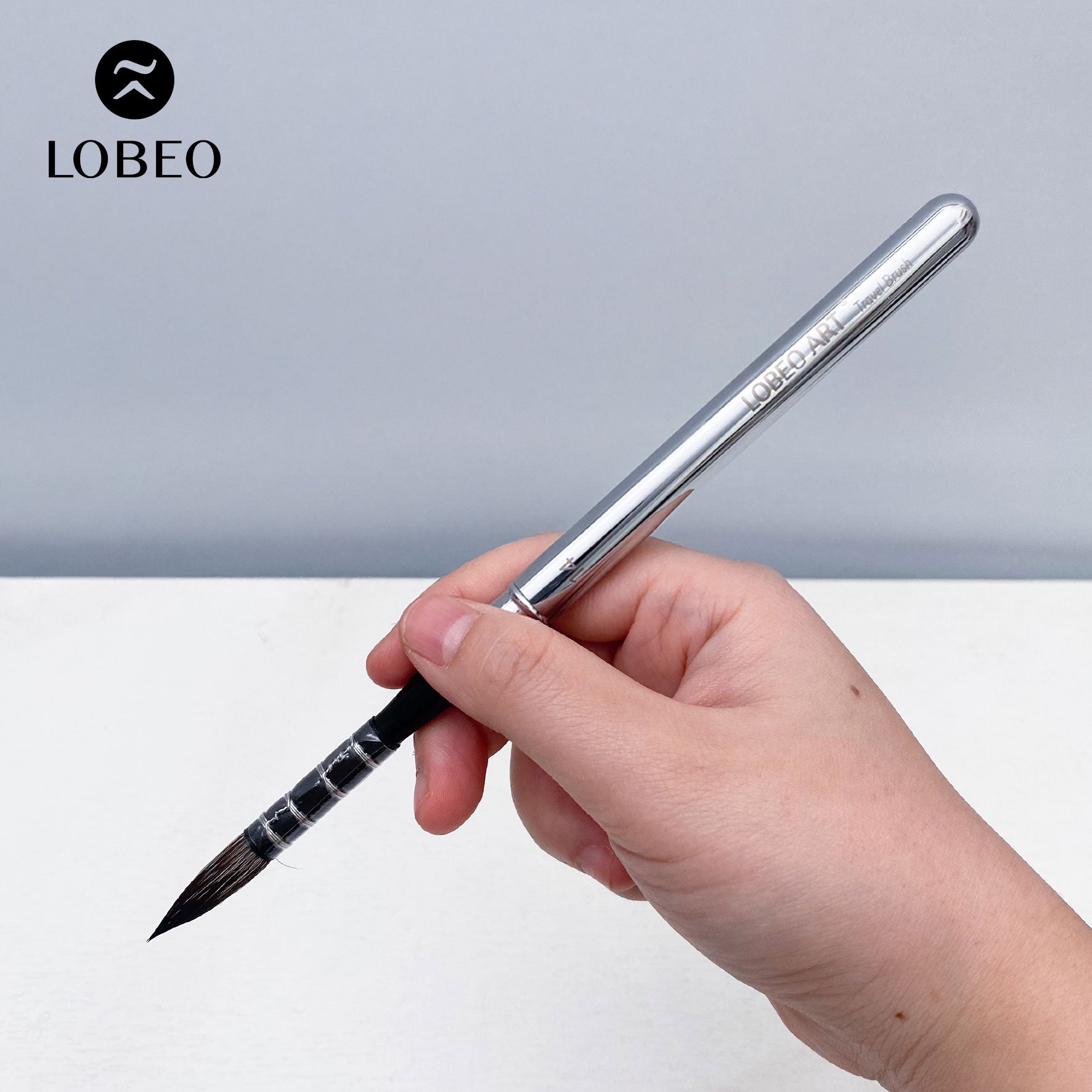 Cọ Du Lịch Cao Cấp Lobeo SR22 - Combo 6 Cây