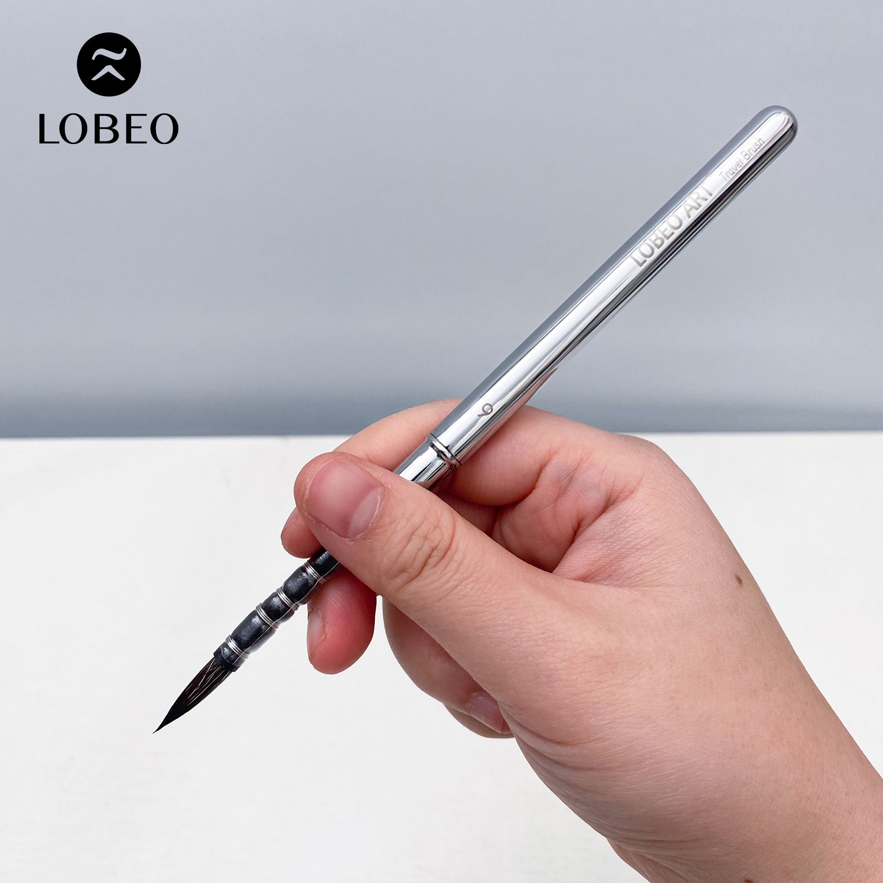 Cọ Du Lịch Cao Cấp Lobeo SR22 - Combo 6 Cây