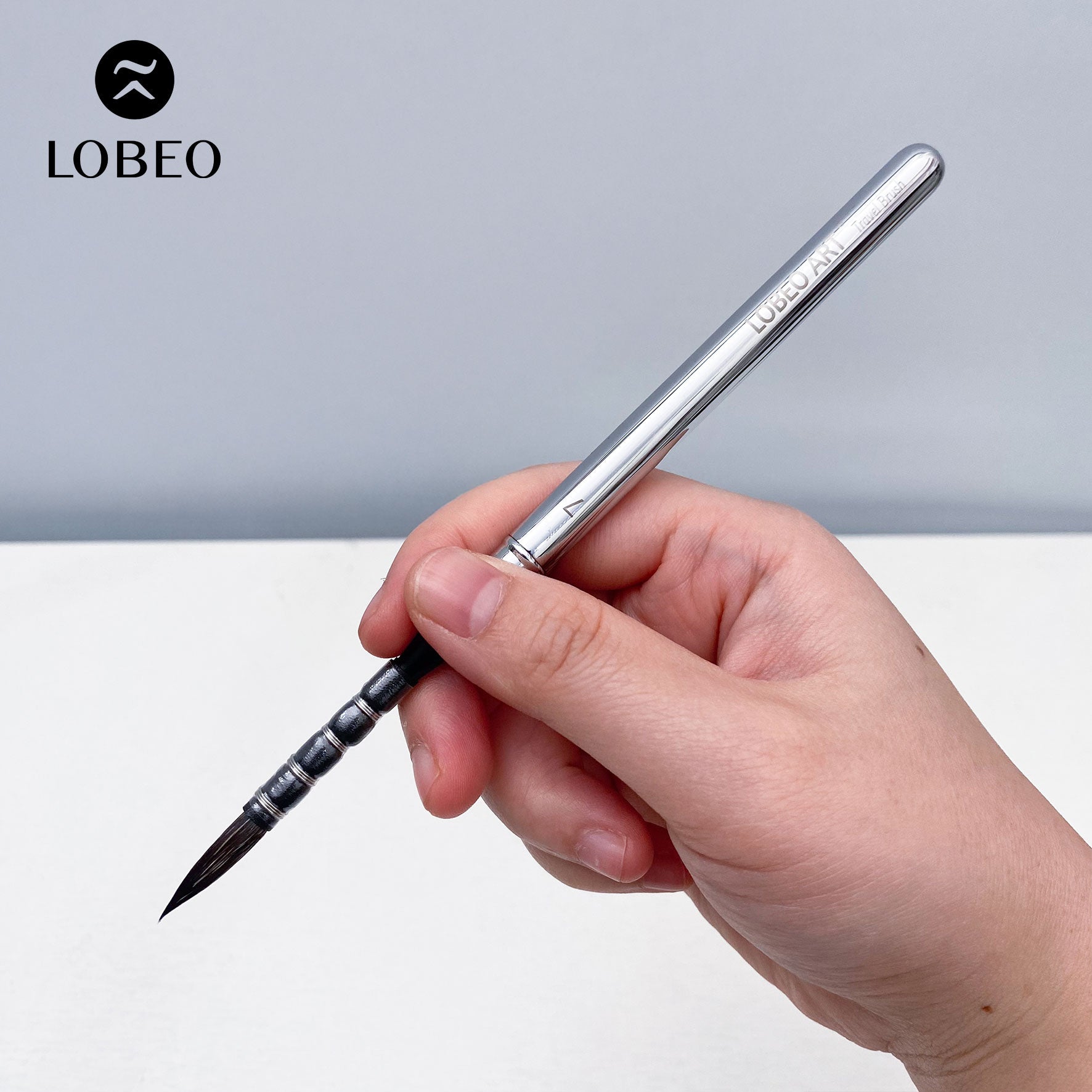 Cọ Du Lịch Cao Cấp Lobeo SR22 - Combo 6 Cây