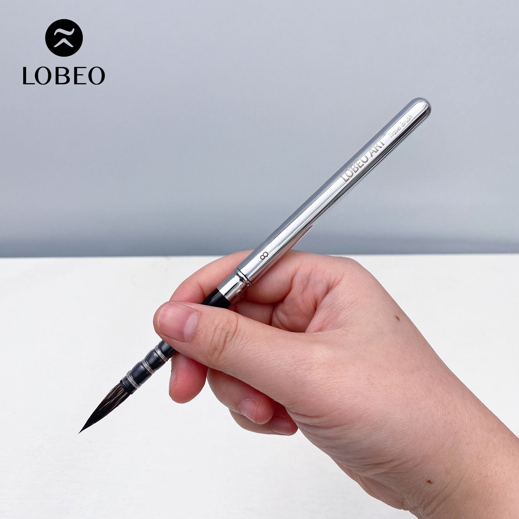 Cọ Du Lịch Cao Cấp Lobeo SR22 - Combo 6 Cây